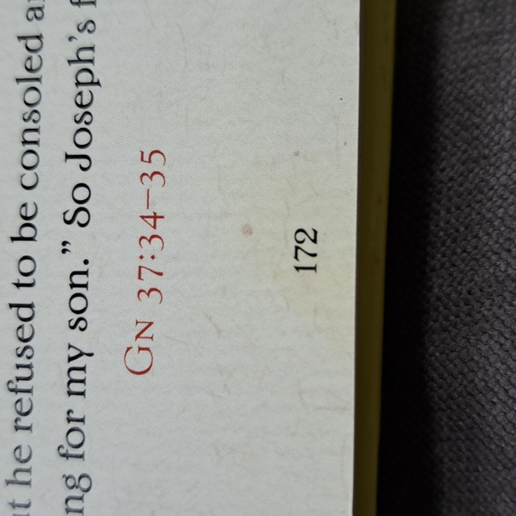 The Brick Testament: Stories From The Book of Genesis Brendan P. Smith G - Picture 11 of 13